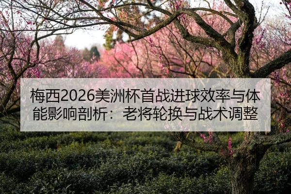 mei-xi-mei-zhou-bei-shou-zhan-jin-qiu-xiao-lv-yu-ti-neng-ying-xiang-pou-xi-lao-jiang-lun-huan-yu-zhan-shu-tiao-zheng-2-370.jpg